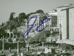 Roman Forum Rome